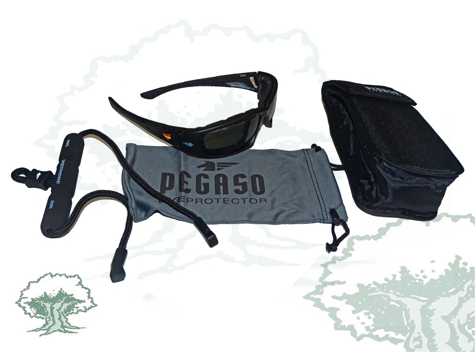 Gafas polarizadas Pegaso
