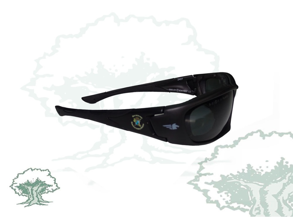 Gafas Academia de la Guardia Civil Pegaso