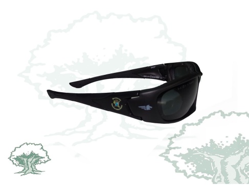Gafas Academia de la Guardia Civil Pegaso
