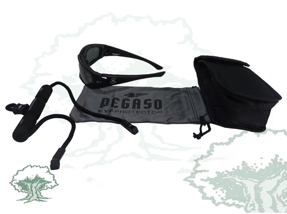 Gafas Academia de la Guardia Civil Pegaso