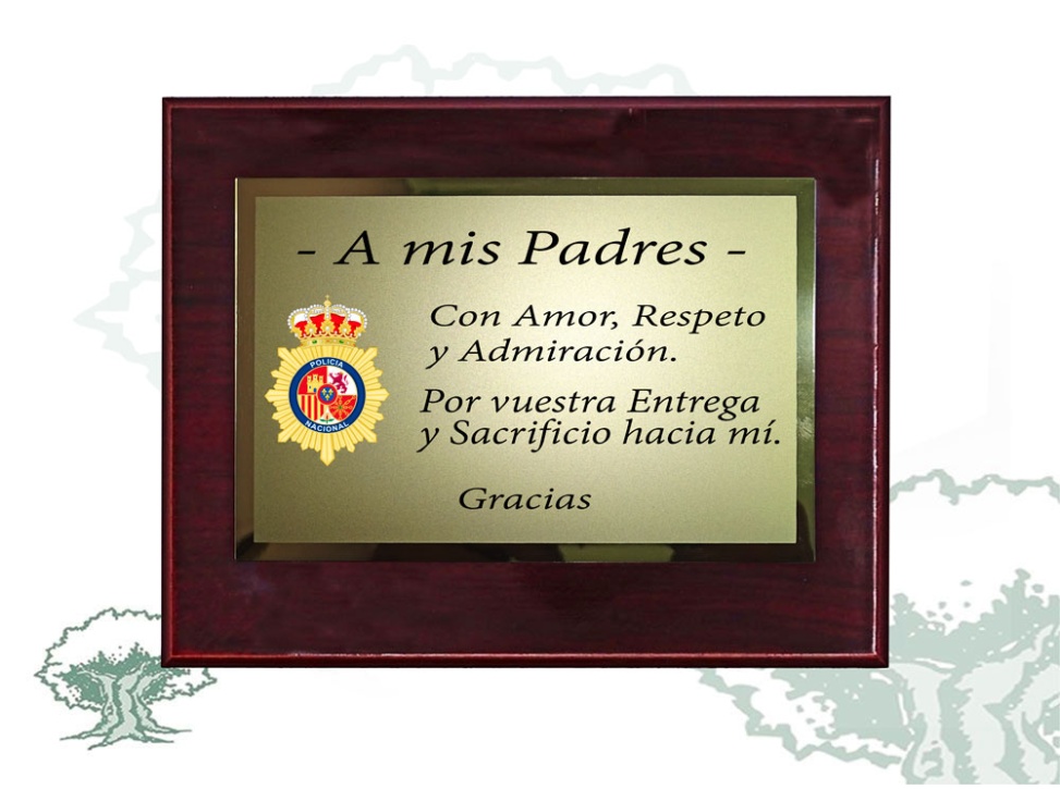 Metopa dedicatoria Policía Nacional