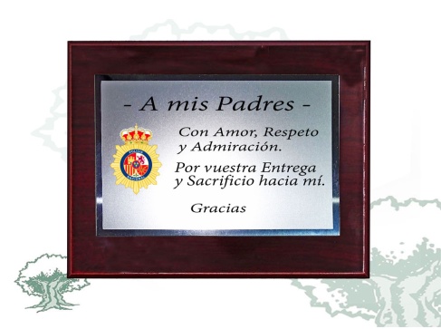 Metopa dedicatoria Policía Nacional