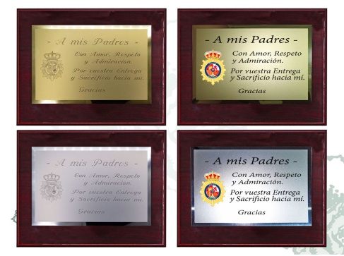 Metopa dedicatoria Policía Nacional