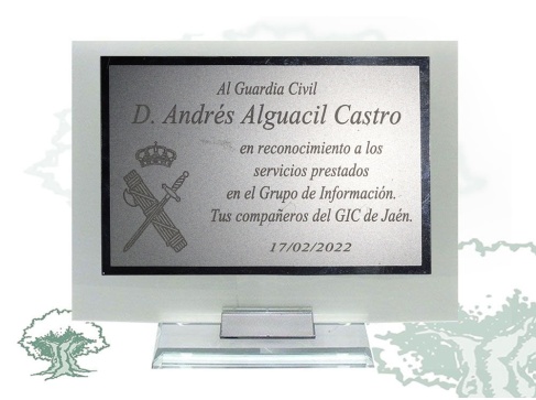 Placa Guardia Civil de cristal traslúcido varios modelos