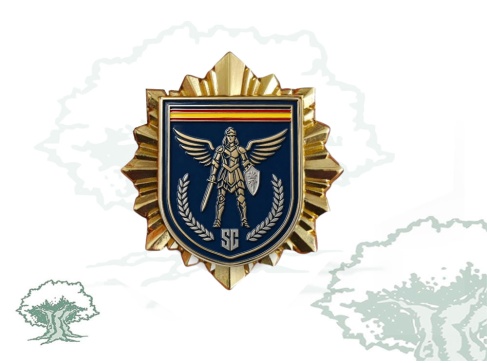 Distintivo de permanencia Seguridad Ciudadana Policía Nacional