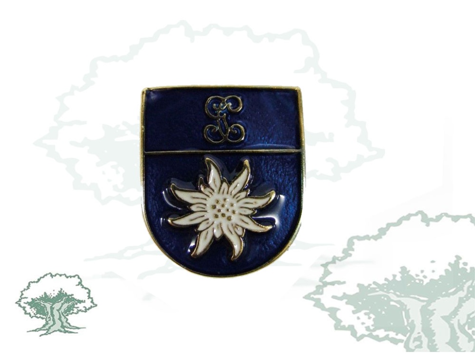 Distintivo de permanencia Montaña Guardia Civil antiguo