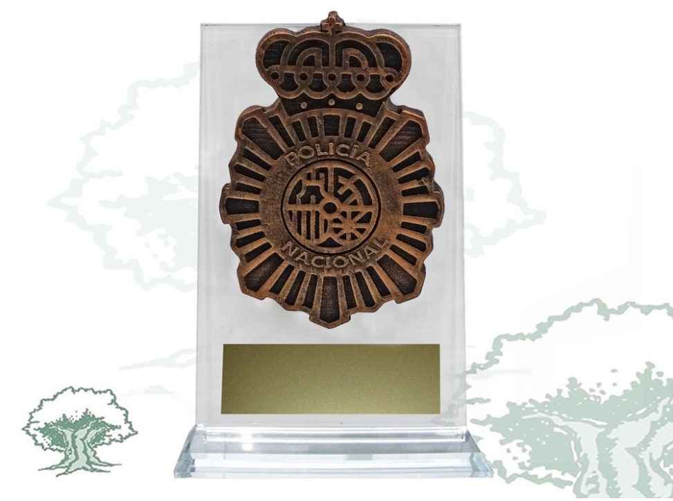 Placa Policía Nacional resina de cristal