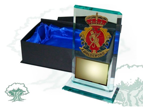 Placa Guardia Joven de cristal biselado