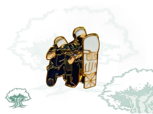 Pin Policía Nacional antidisturbios