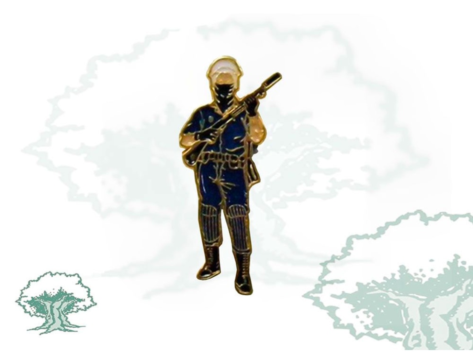 Pin Policía Nacional antidisturbios