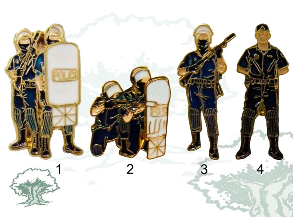 Pin Policía Nacional antidisturbios