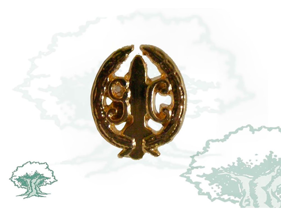 Pin GAR Guardia Civil
