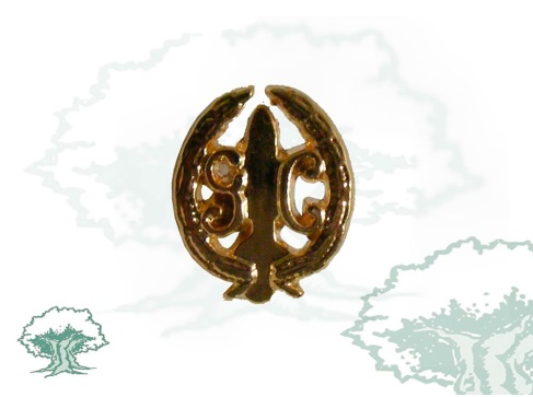 Pin GAR Guardia Civil