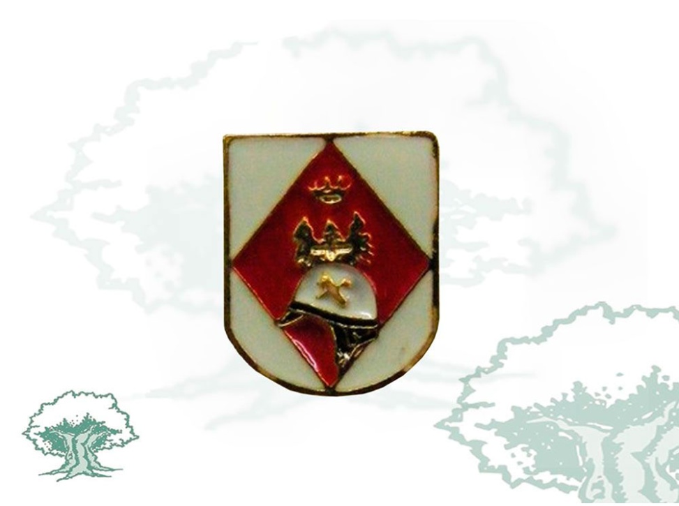 Pin Guardia Civil de Tráfico de solapa