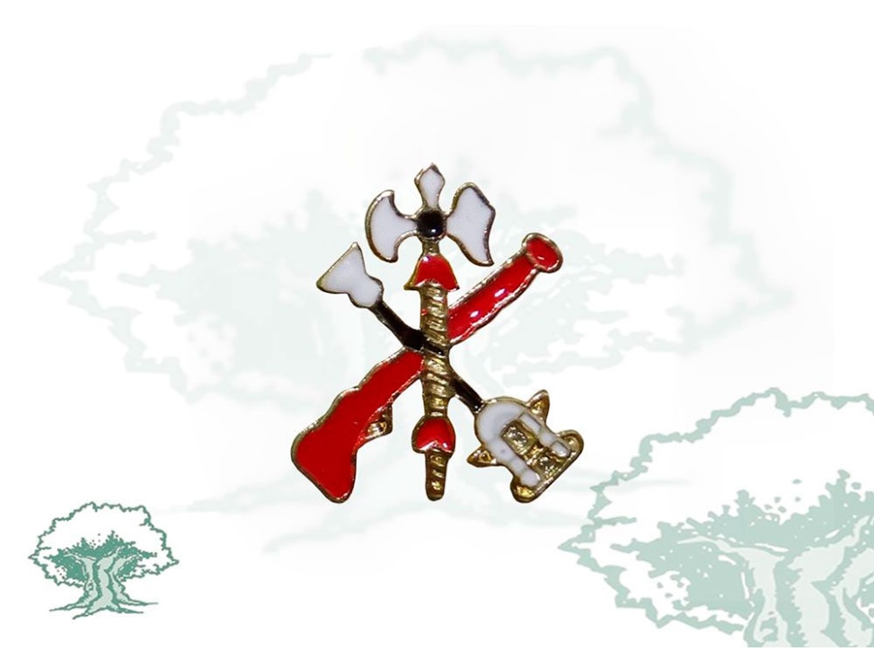 Pin Legión Española