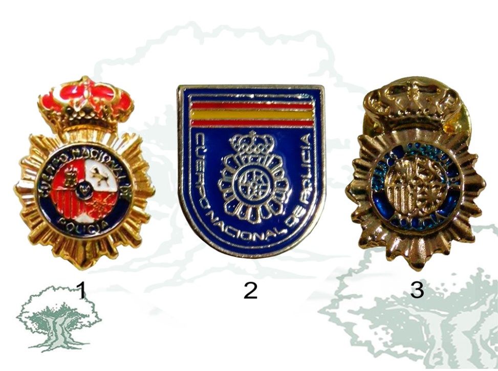 Pin Policía Nacional