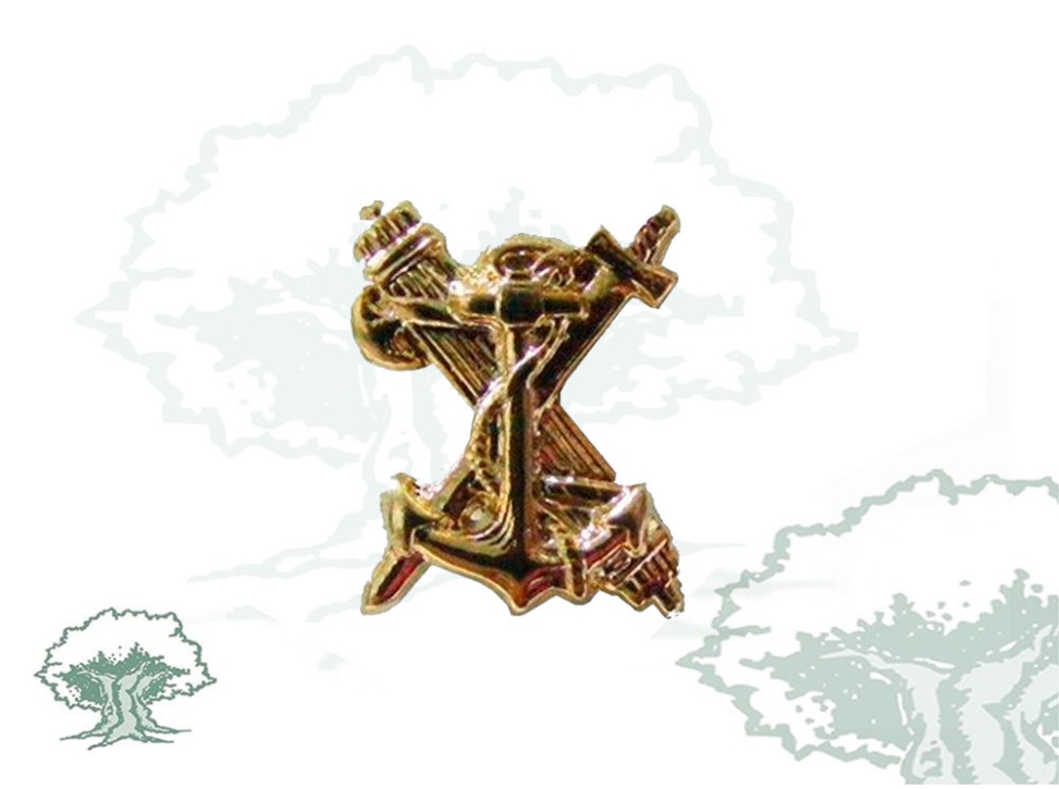 Pin Servicio Marítimo Guardia Civil