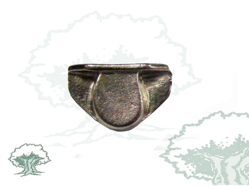 Pin Tricornio