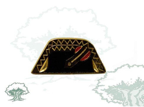 Pin Tricornio