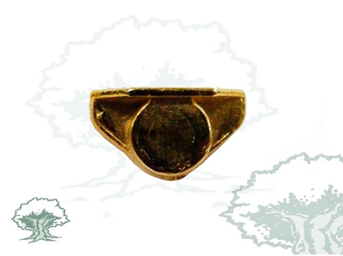 Pin Tricornio