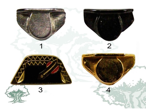 Pin Tricornio