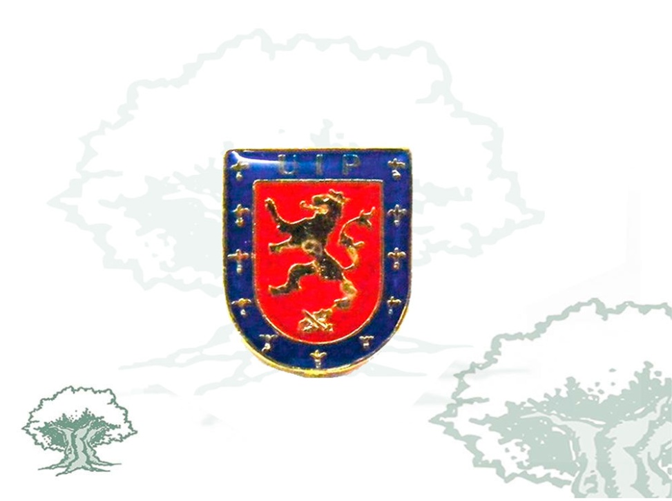 Pin UIP Policía Nacional