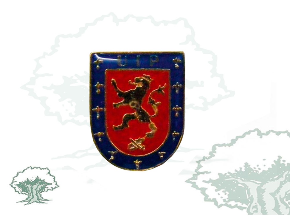 Pin UIP Policía Nacional