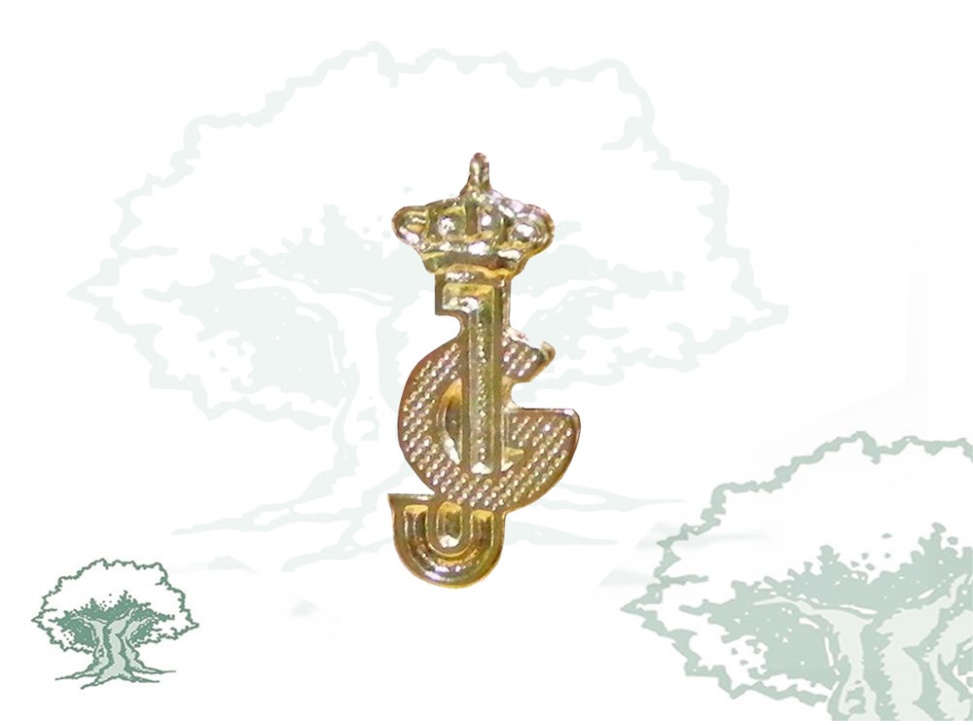 Pin Guardias Jóvenes