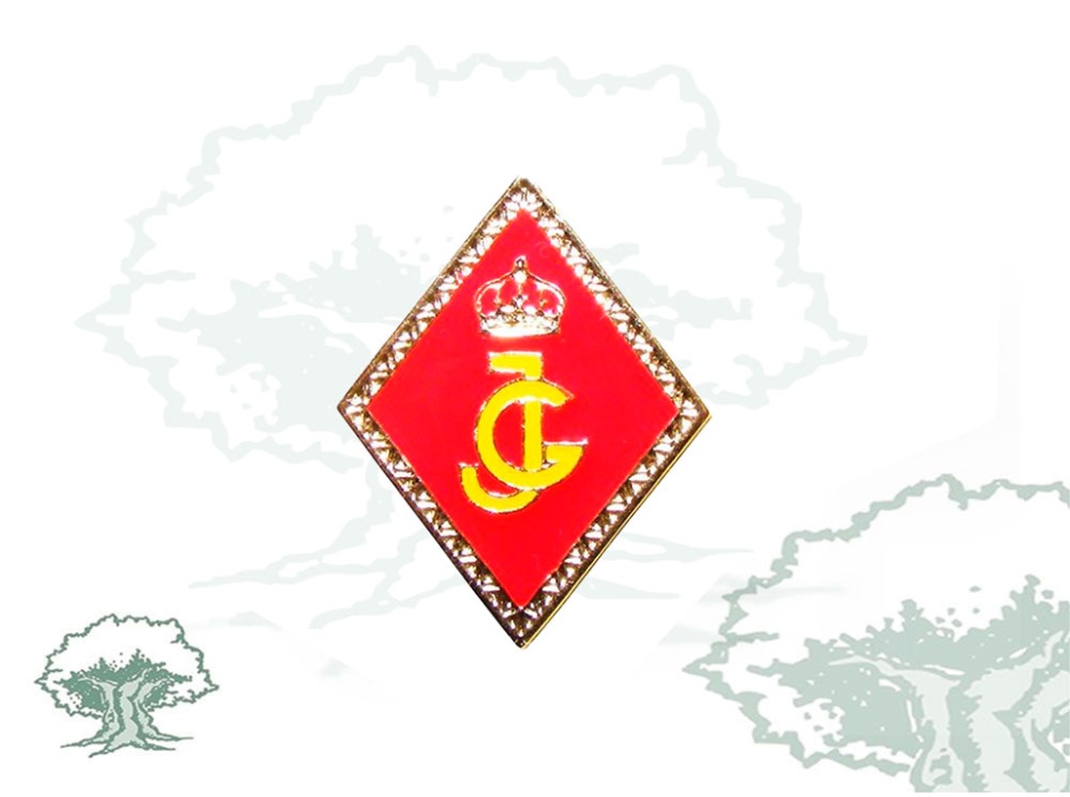 Pin Guardias Jóvenes