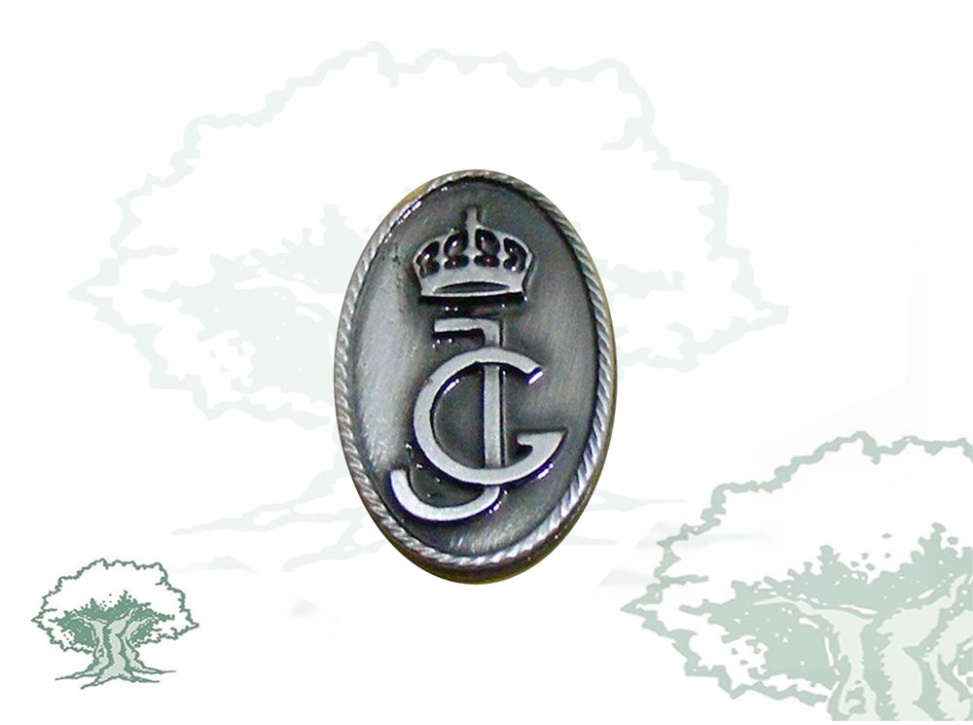 Pin Guardias Jóvenes
