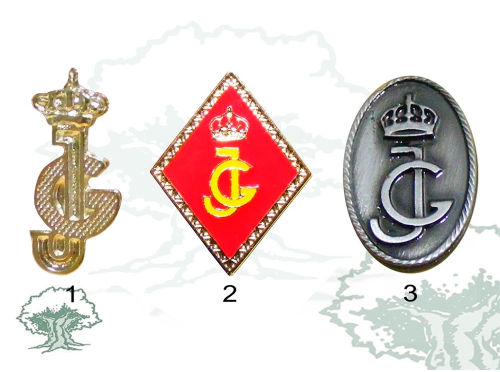 Pin Guardias Jóvenes