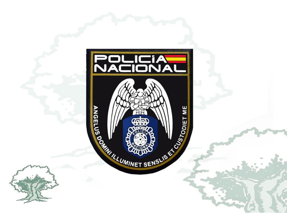 Parche Angelus Domini Policía Nacional