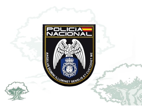 Parche Angelus Domini Policía Nacional