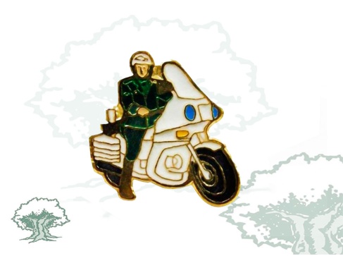 Pin Guardia Civil de Tráfico motorista
