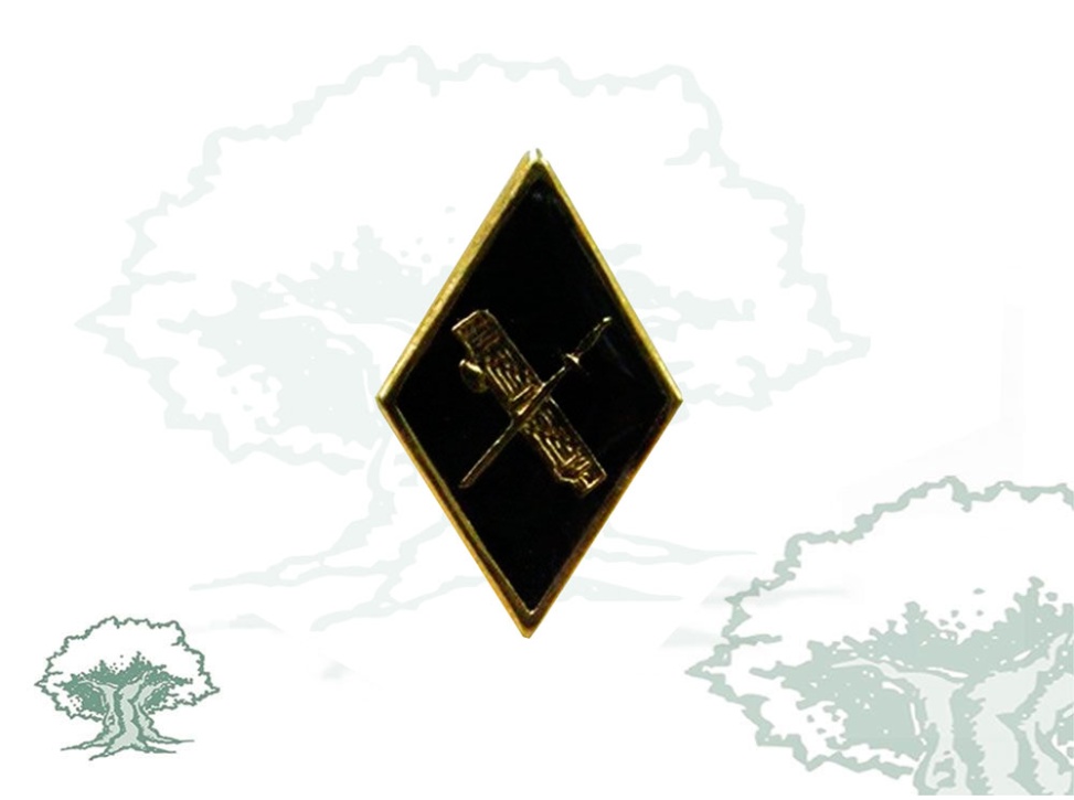Pin Guardia Civil rombo