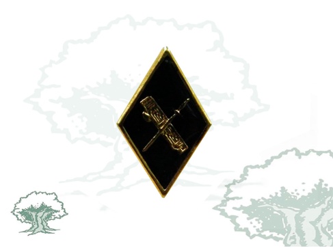 Pin Guardia Civil rombo