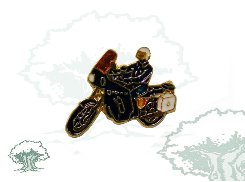 Pin Policía Nacional moto