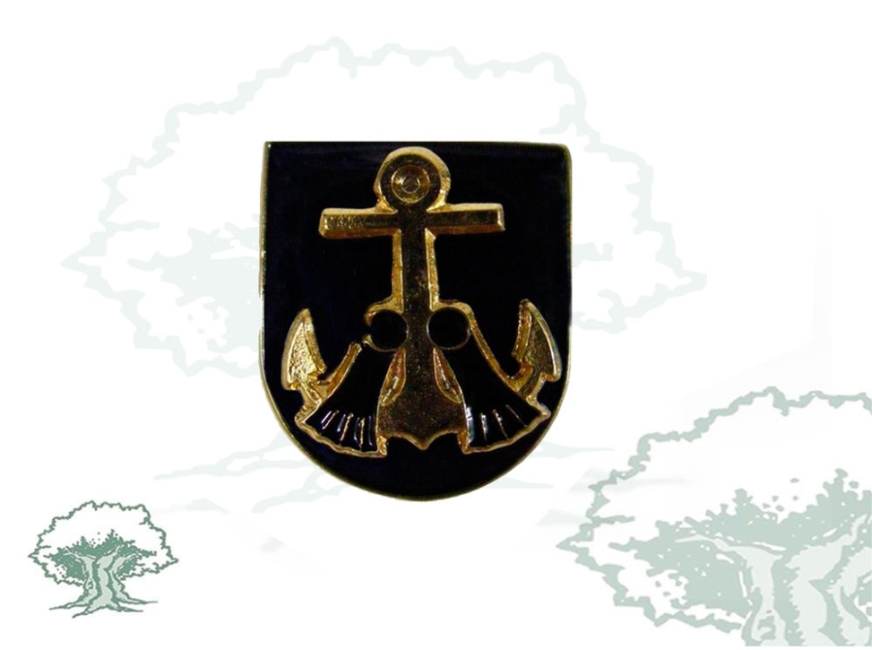 Distintivo de función GEAS Guardia Civil