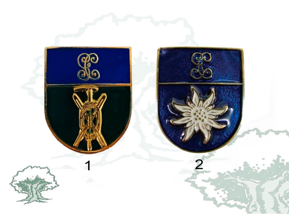 Distintivo de permanencia Montaña Guardia Civil