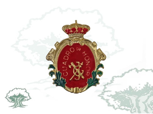 Distintivo Mención Honorífica Guardias Jóvenes