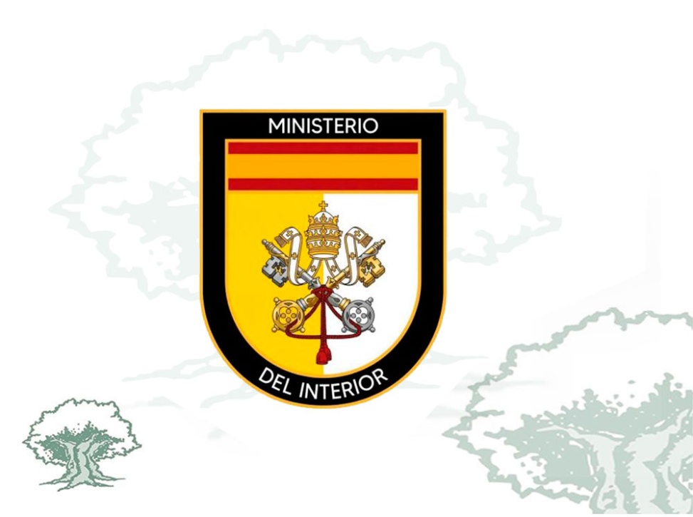 Distintivo Visita Papa León XIV