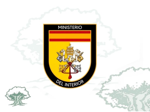 Distintivo Visita Papa León XIV