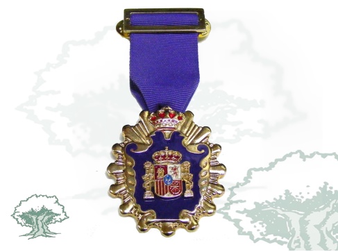 Medalla Licenciado en Psicopedagogía