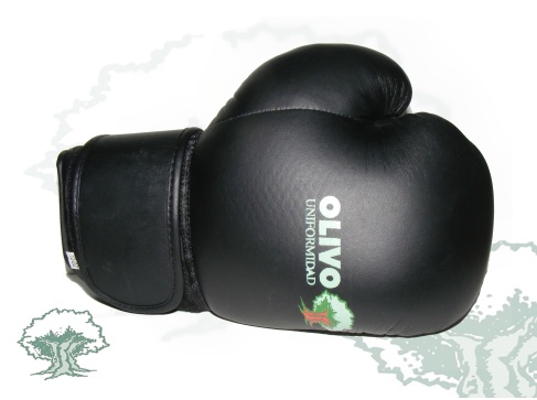 Guantes de boxeo
