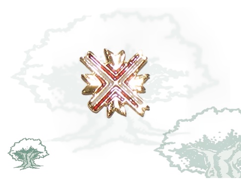 Pin excombatiente europeo