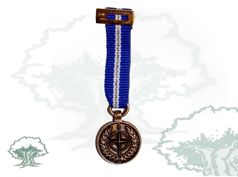Medalla OTAN (Eagle Assist) miniatura