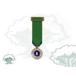 Medalla Sufrimiento por la Patria miniatura