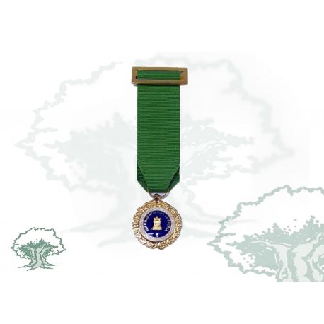 Medalla Sufrimiento por la Patria miniatura