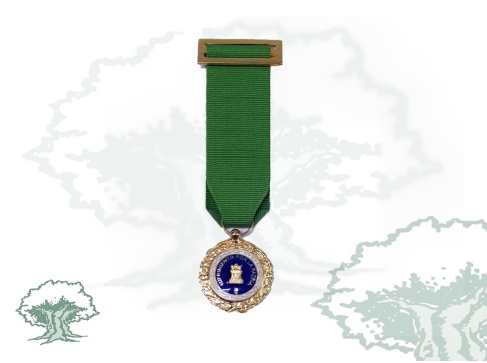 Medalla Sufrimiento por la Patria miniatura