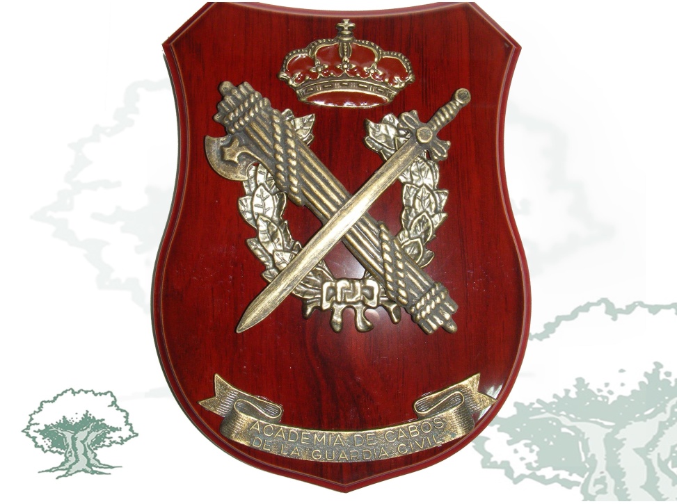 Metopa Curso de Cabos Guardia Civil